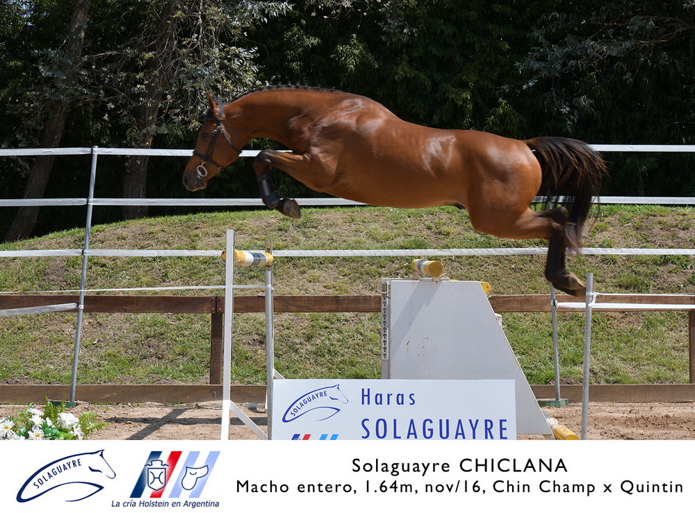 SOLAGUAYRE CHICLANA